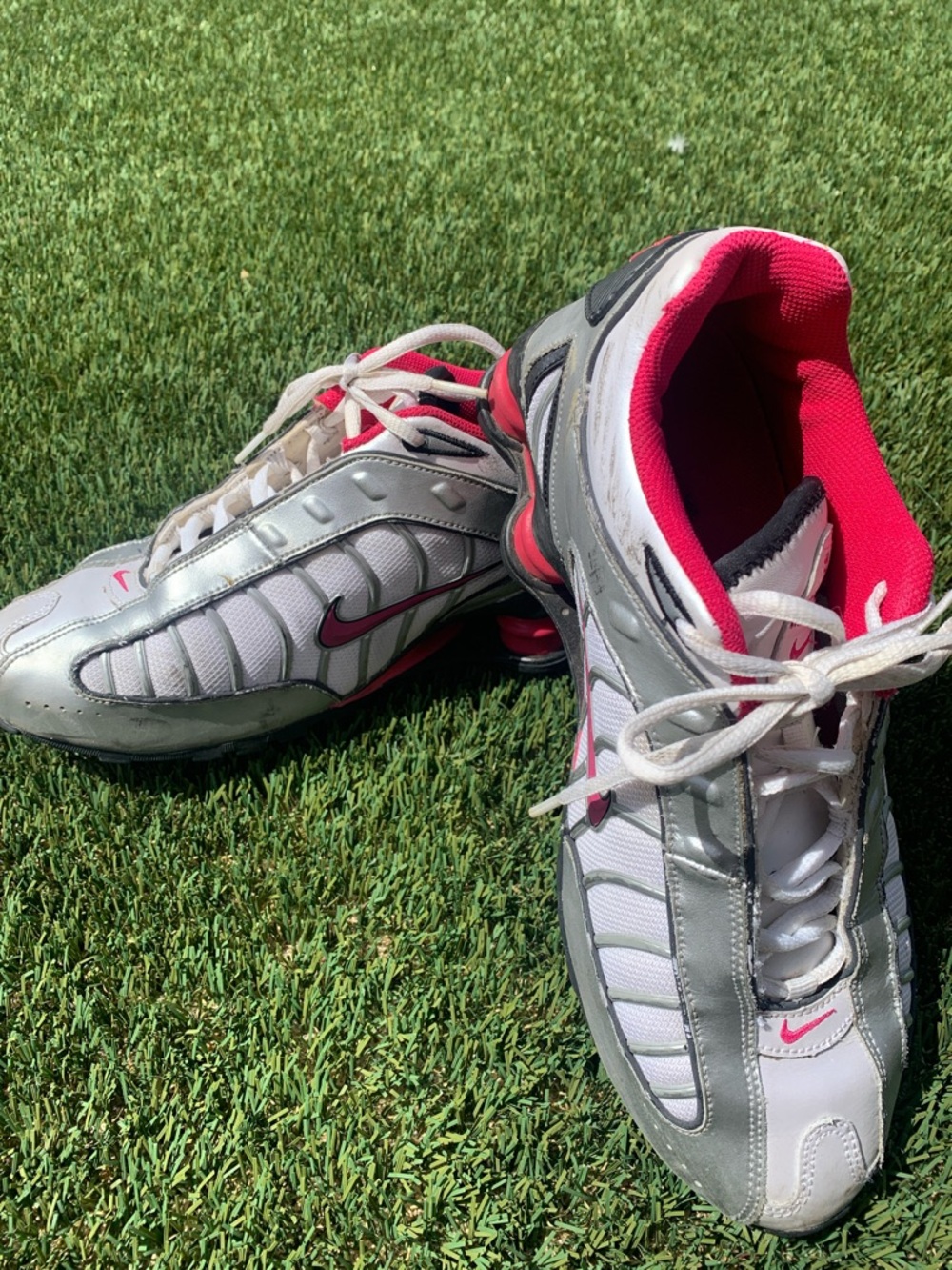 Nike Women’s Silver and Pink Running Sneakers